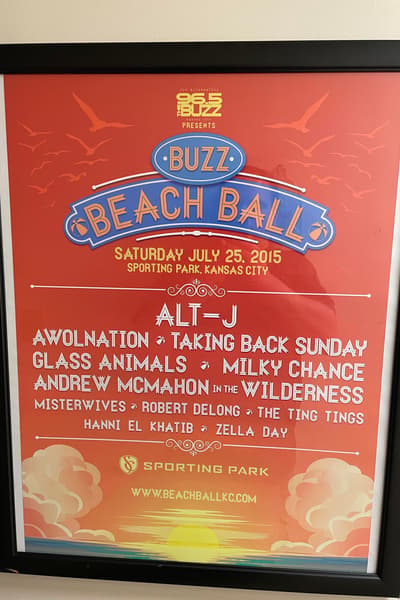 Awolnation Jul 25, 2015 Kansas City