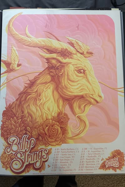 Billy Strings Multiple cities (tour poster)