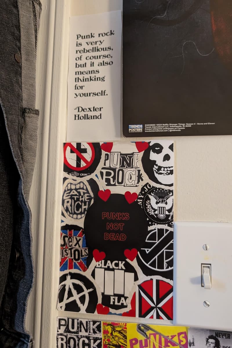 Misfits, Black Flag, My Chemical Romance, Dead Kennedys, Sex Pistols