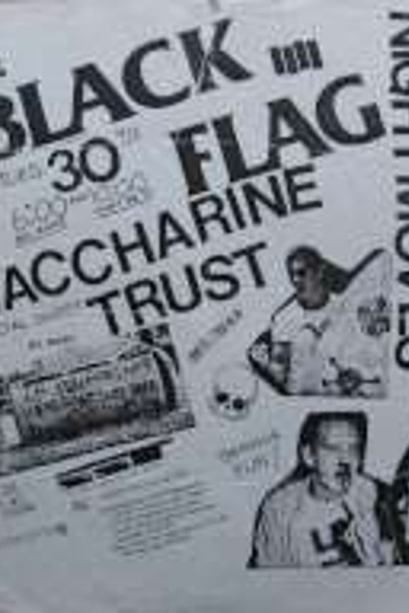 Black Flag, Night Moves, Saccharine Trust