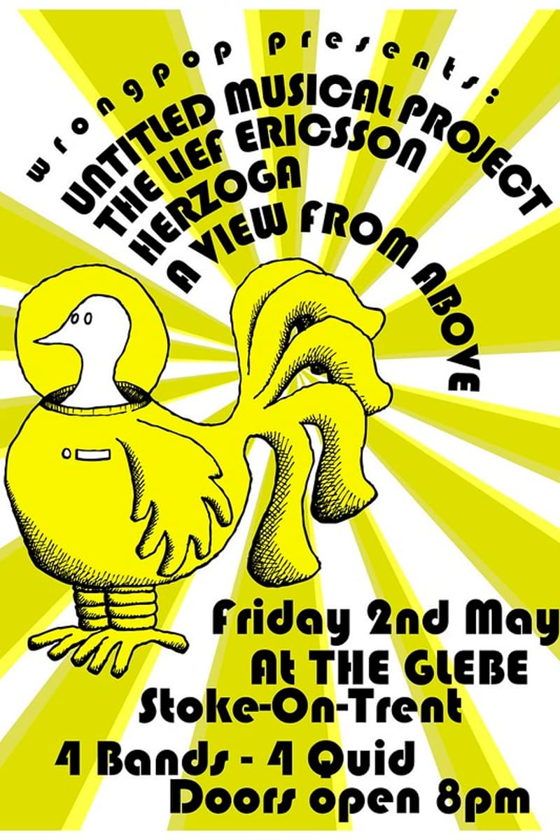 A View From Above, The Leif Ericsson, Untitled Musical Project, Herzoga - at The Glebe - Stoke-On-Trent - May 2, 2008