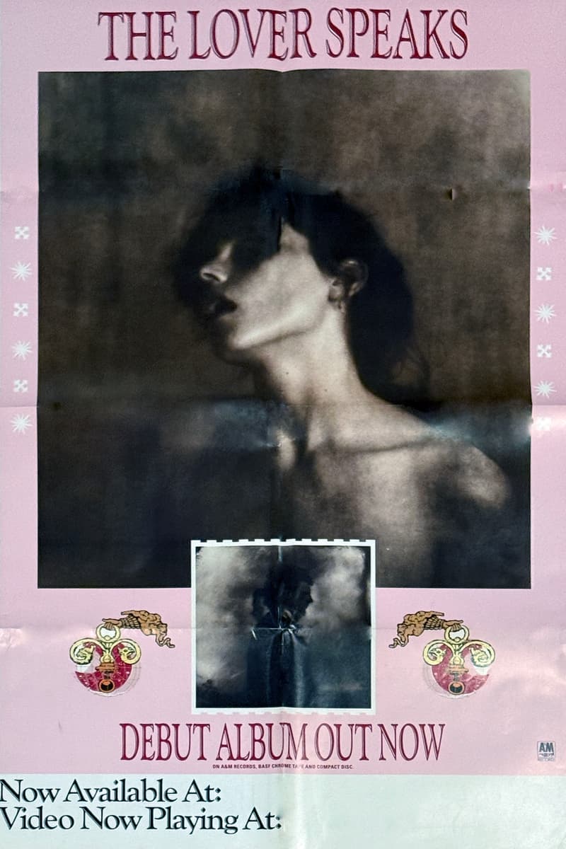 The Lover Speaks