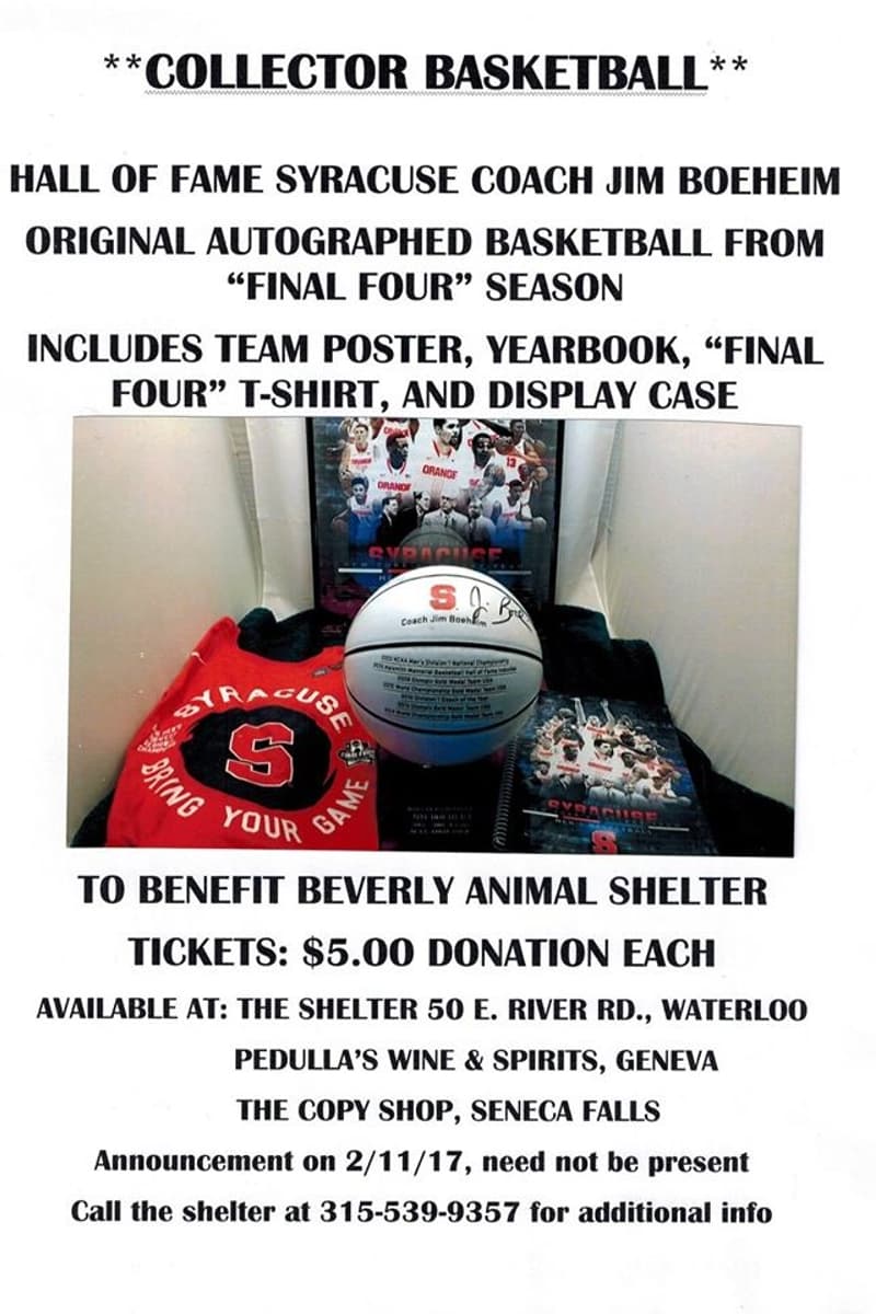 at Beverly Animal Shelter - Waterloo, NY - Feb 11, 2017