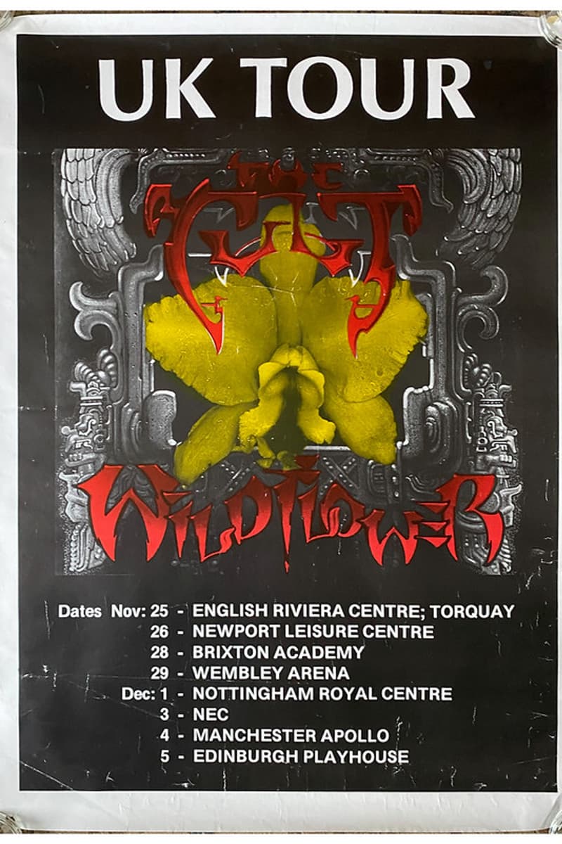 The Cult