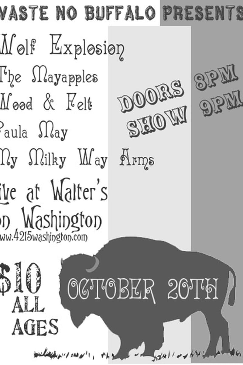 My Milky Way Arms, The Mayapples, Wood & Felt, Wolf Explosion, Paula May - at Walter's on Washington