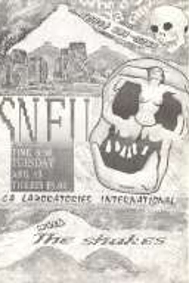 SNFU, The Shakes - at Co Laboratories International
