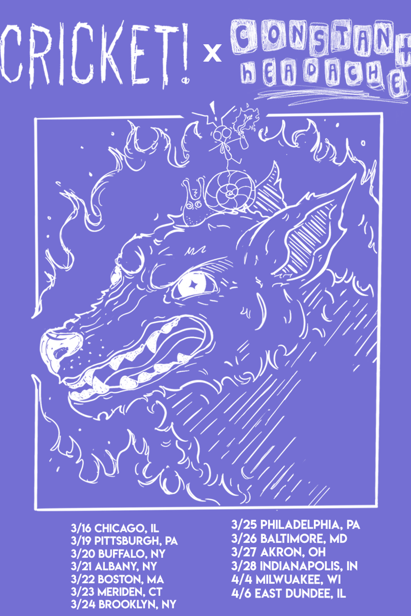 Cricket!, Constant Headache