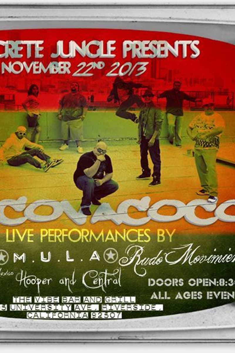 Ronconacoco, Rudo Movimiento, M.U.L.A., Hooper and Central, Palos Verdes - at The Vibe Bar and Grill - Riverside, CA - Nov 22, 2013