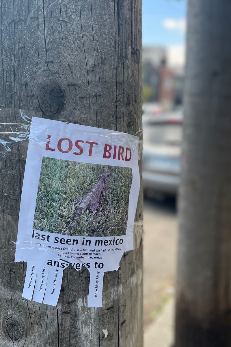 Mexico (last seen)