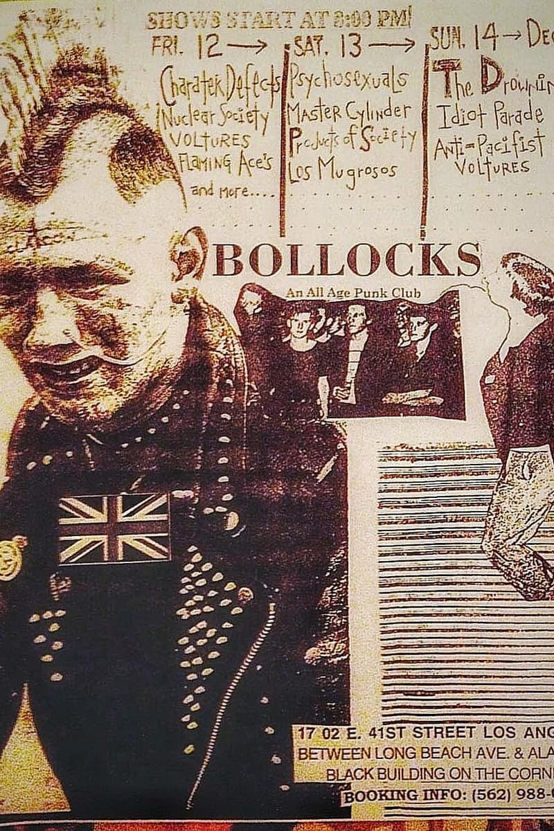 Flaming Aces, Voltures, Products of Society, Character Defects, Master Cylinder - at Bollocks - Los Angeles, CA