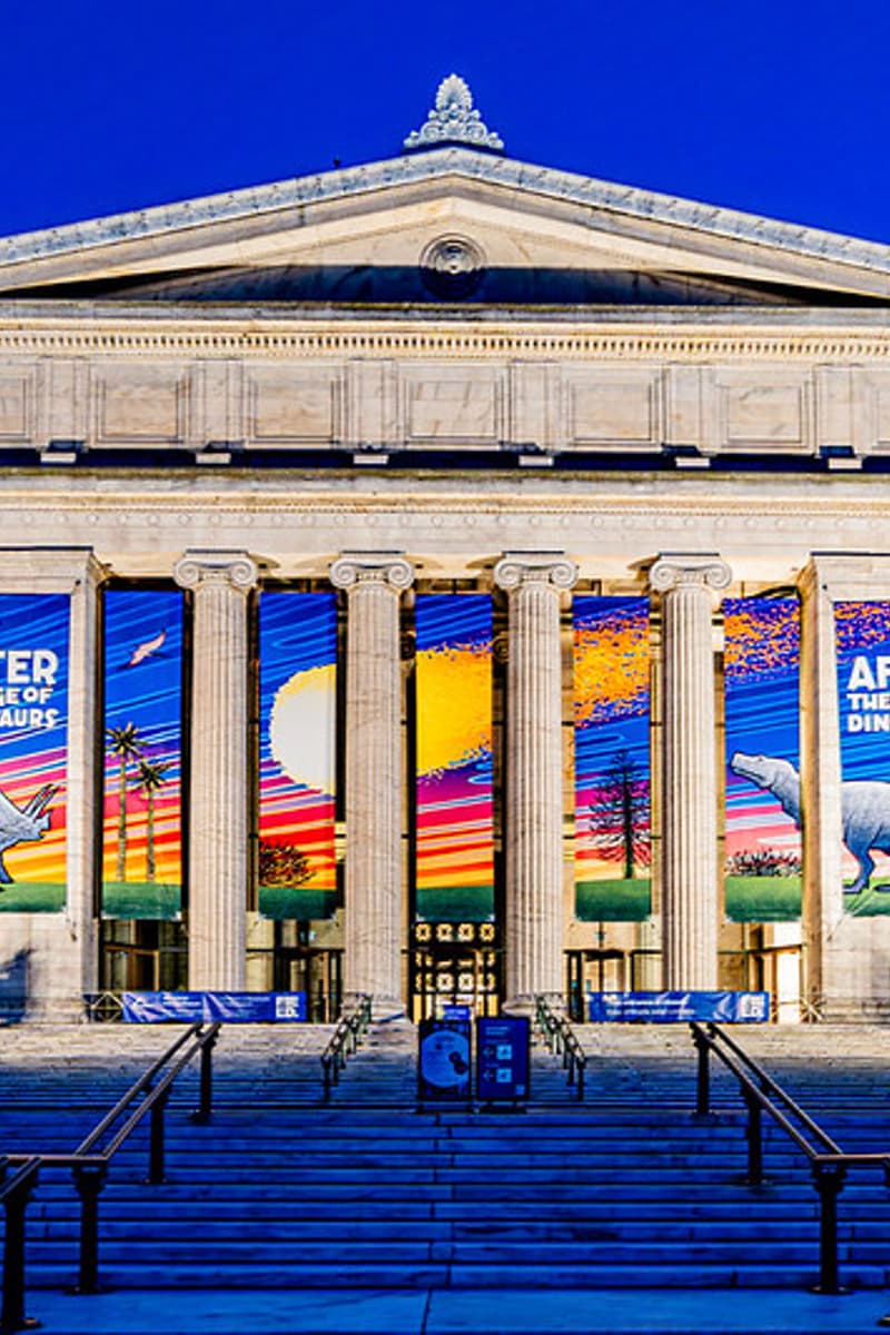 at Field Museum - Chicago, IL