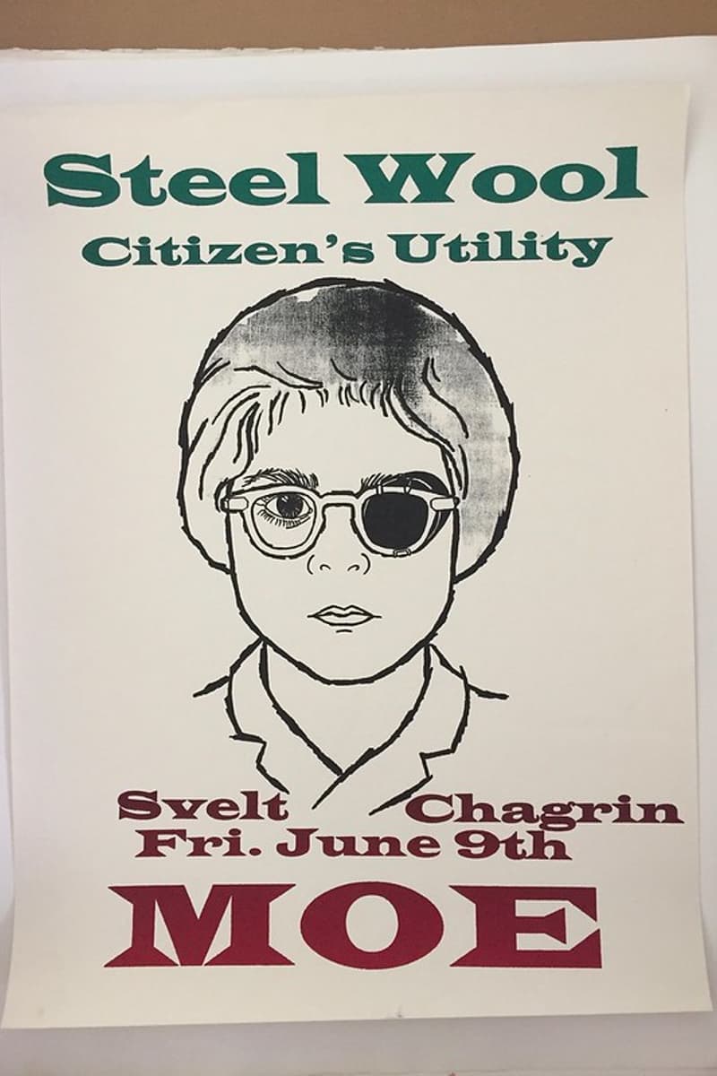 Chagrin, Svelt, Steel Wool, Citizen's Utility - at Moe