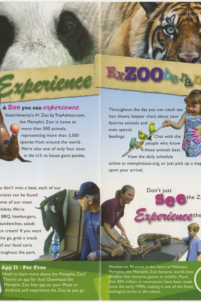 at Memphis Zoo - Memphis, TN
