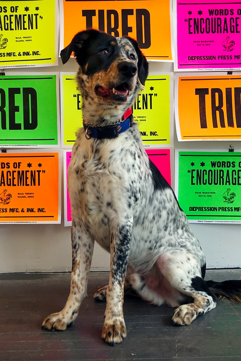 at Chicago Art Department - Chicago, IL - Oct 11, 2019