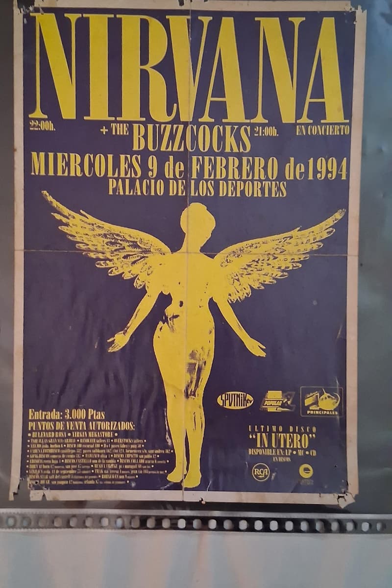 The Buzzcocks, Nirvana - at Palacio de los Deportes - Madrid - Feb 9, 1994