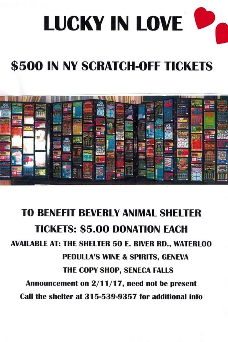 at Beverly Animal Shelter - Waterloo, NY - Feb 11, 2017