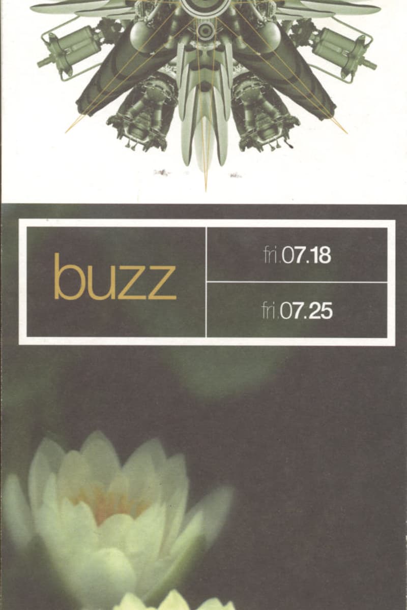 at Buzz