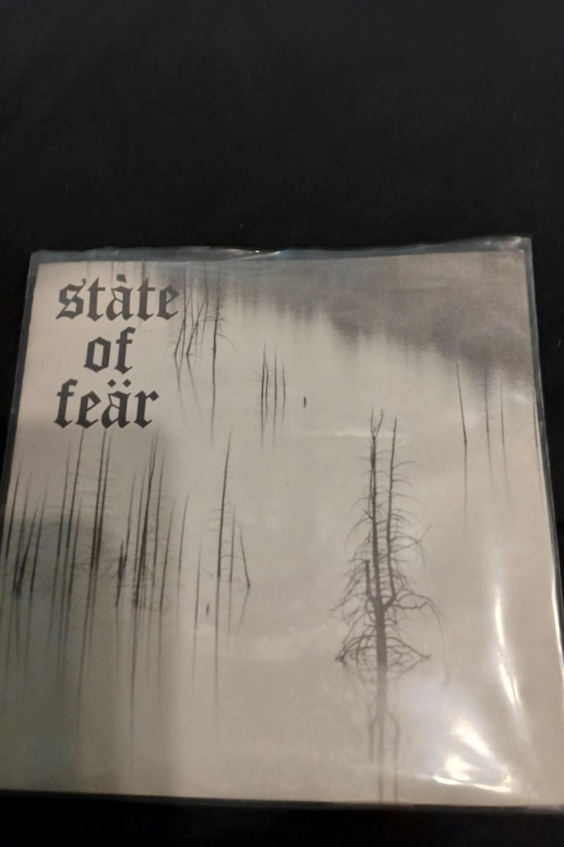 State of Fear