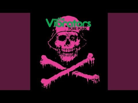 The Vibrators