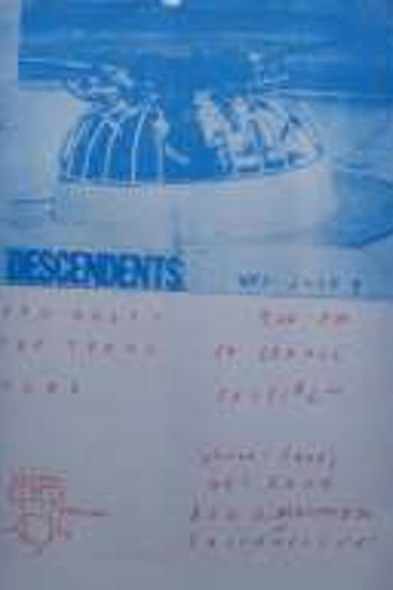 Descendents - at St. Francis