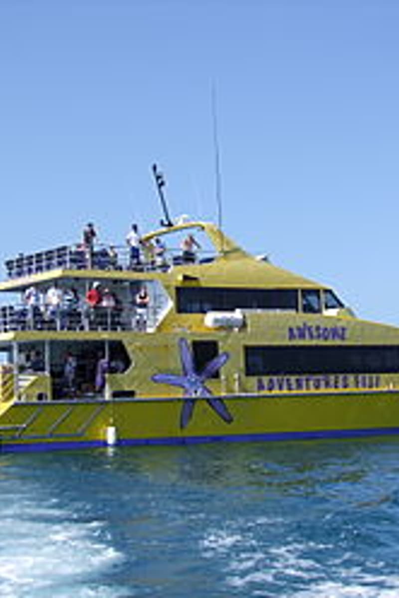 at Awesome Adventures Fiji