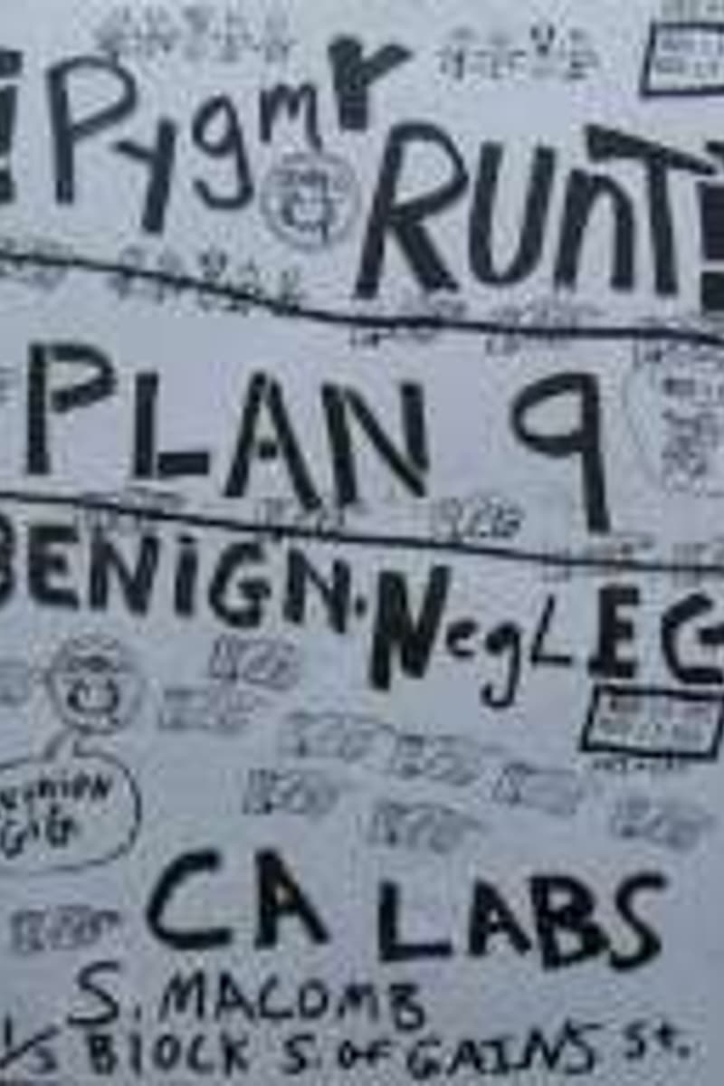 Plan 9, CA Labs, Benign Neglect, Pygmy Runt - at CA Labs