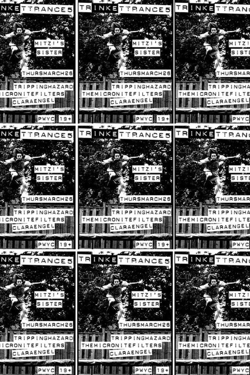 Mitzi's Sister, Clara Engel, Tripping Hazard, The Micronite Filters - Toronto
