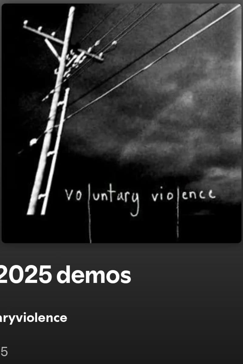 voluntaryviolence