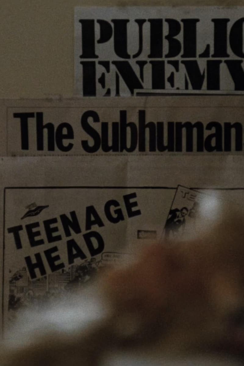 The Subhumans, Teenage Head, Public Enemy