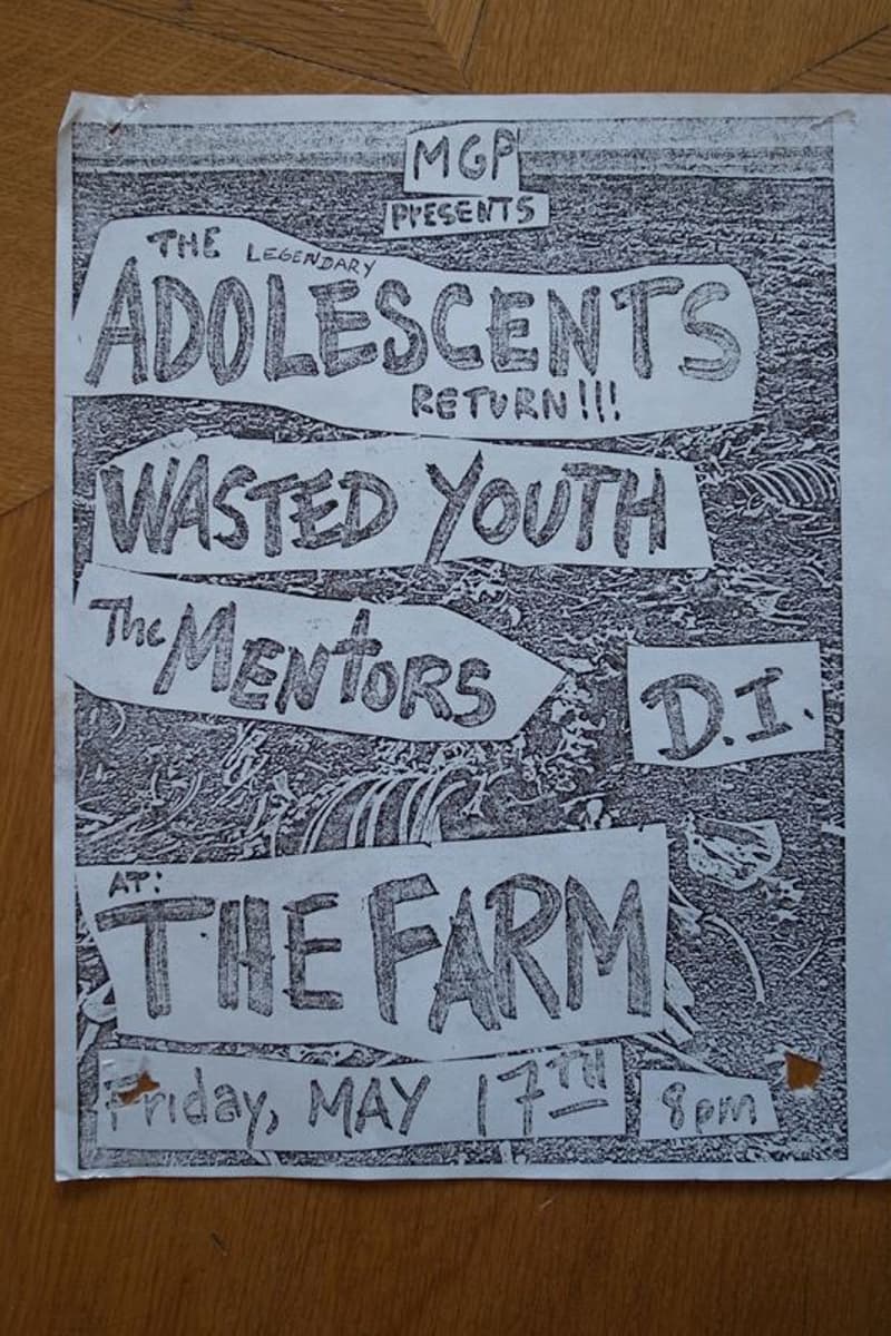 Wasted Youth, The Mentors, D.I., The Adolescents - at The Farm