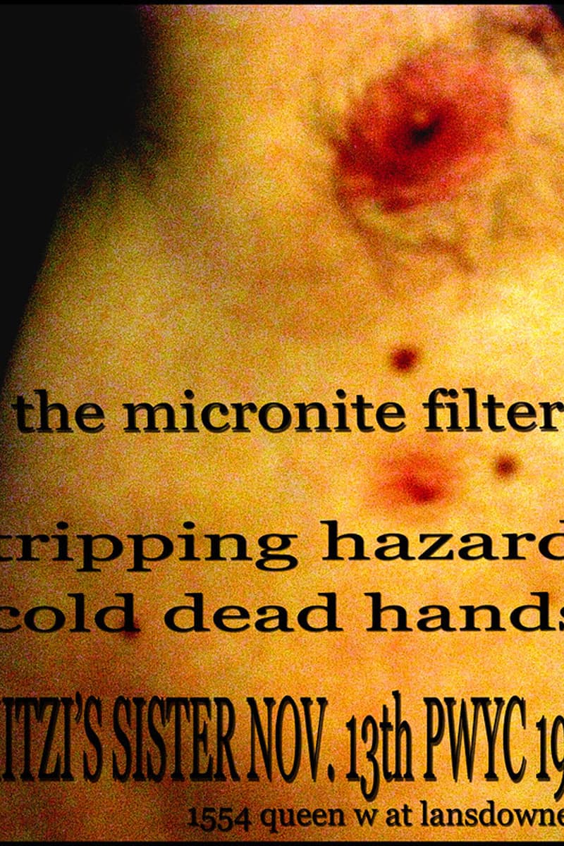 Tripping Hazard, The Micronite Filters, cold dead hands - at Mitzi's Sister - Toronto