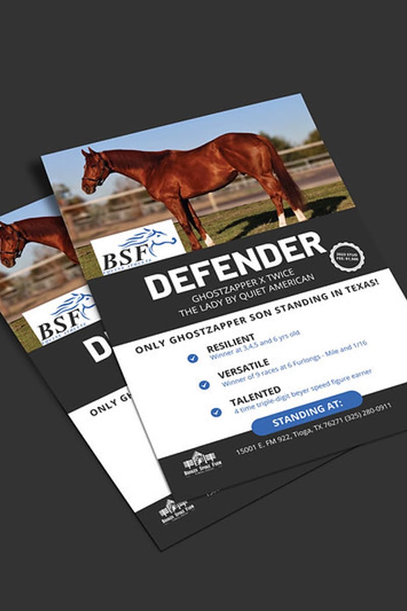 at BSF (Bluebonnet Stud Farm) - Tioga, TX