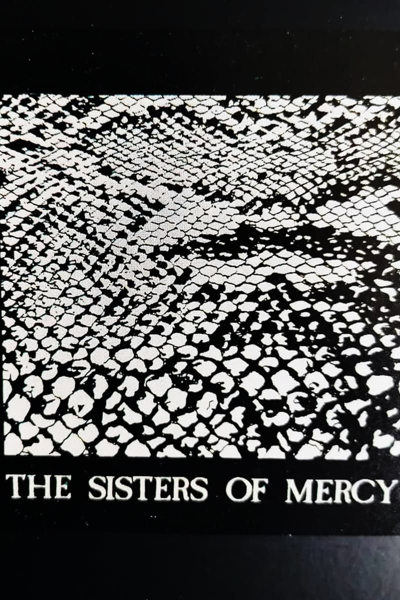 The Sisters of Mercy