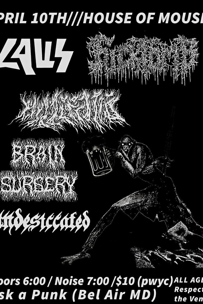 BRAIN SURGERY, UNDESICCATED, PLEBEIAN, LAWS, WOUNDMOTHER - at House of Mouse - Bel Air, MD - Apr 10, 2025