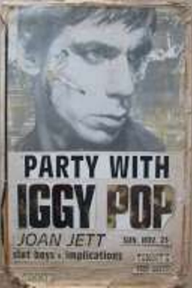 Joan Jett, Slot Boys, Iggy Pop, Implications