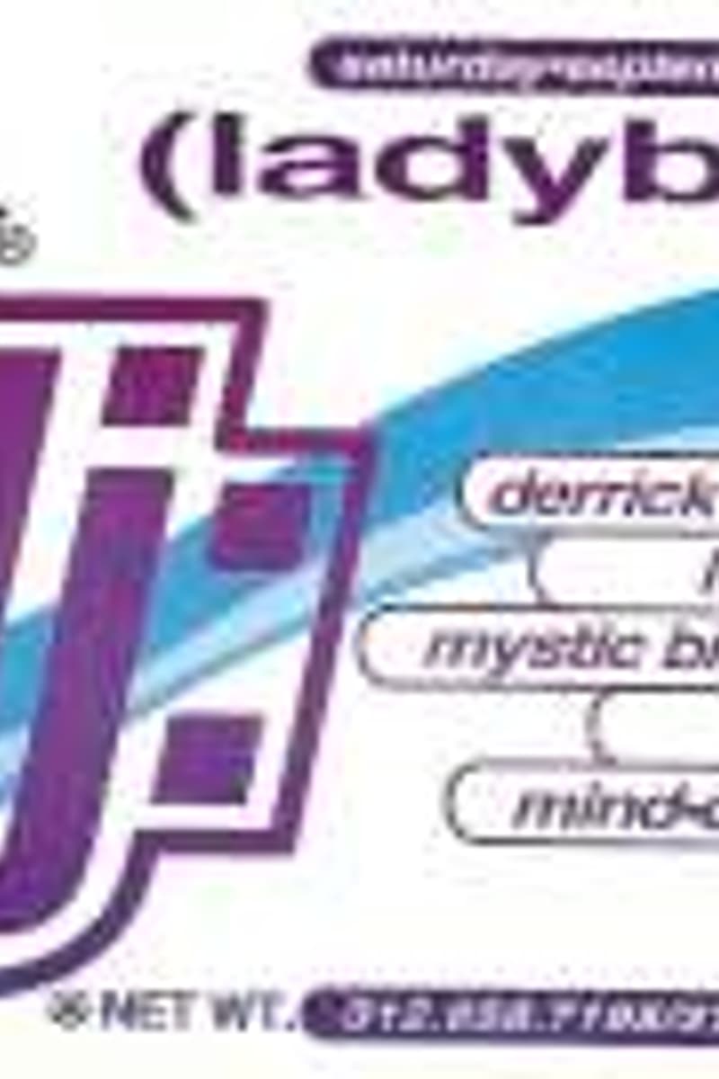 Lego, Mind-Drive, Diz, Mystic Bill, Derrick Carter - at Flavor