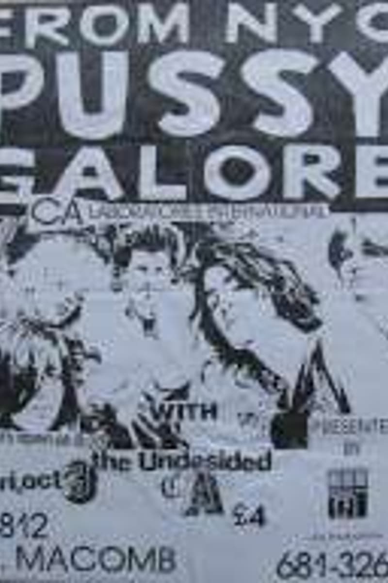 the Undecided, Pussy Galore - at S. Macomb