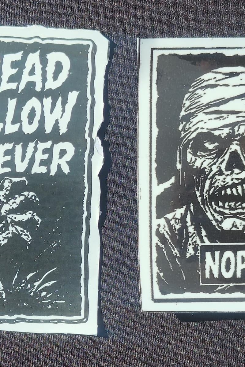 at Dread Hollow