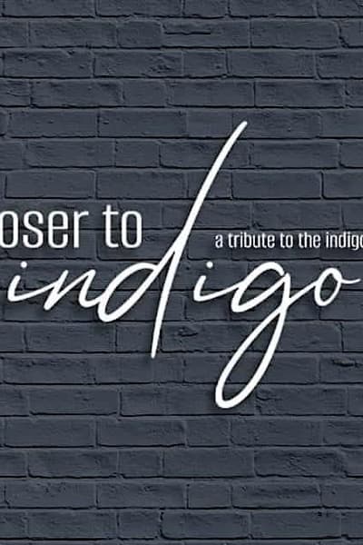 Closer to Indigo - A Tribute To the Indigo Girls