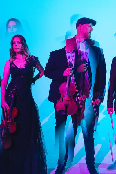Vitamin String Quartet