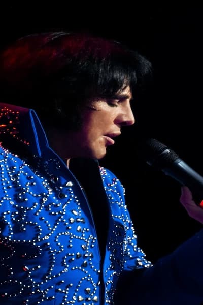 The Ultimate Elvis