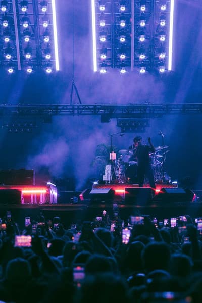 The Strokes, The Garden