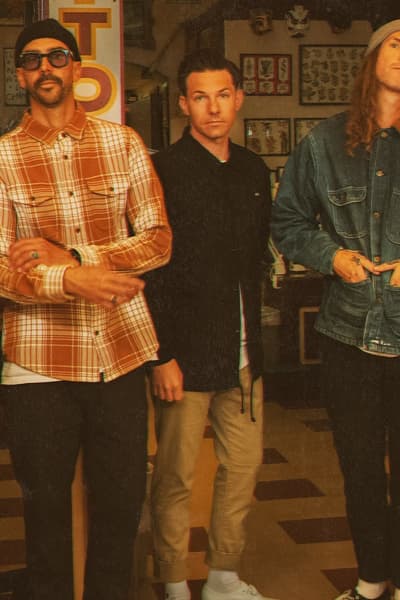 Dirty Heads, 311