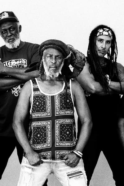 Steel Pulse, The Original Wailers featuring Al Anderson