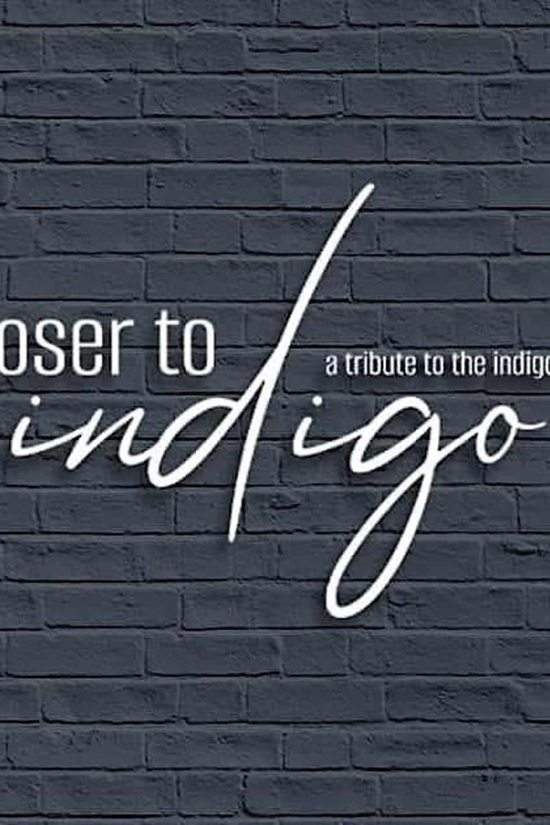 Closer to Indigo - A Tribute To the Indigo Girls - Minneapolis, MN - Jun 26, 2026